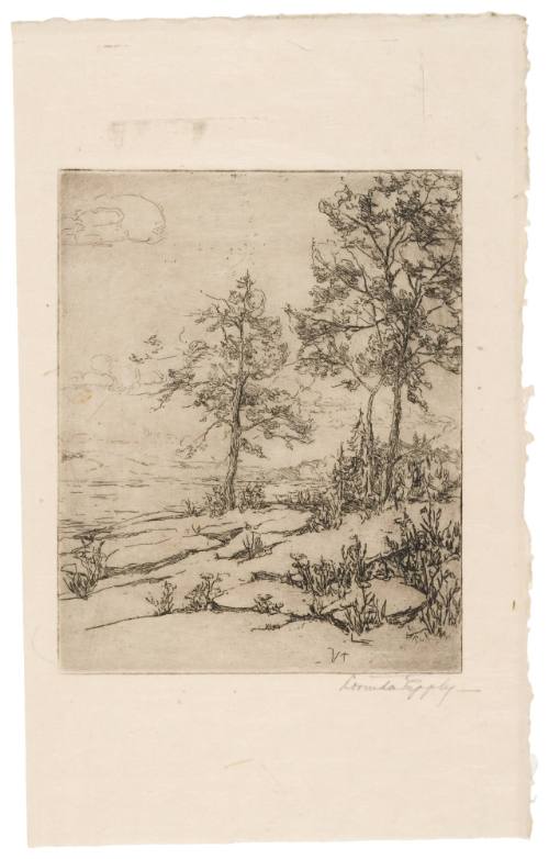 Two Trees in Landscape