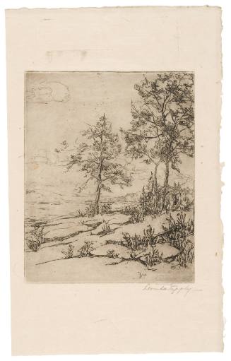 Two Trees in Landscape
