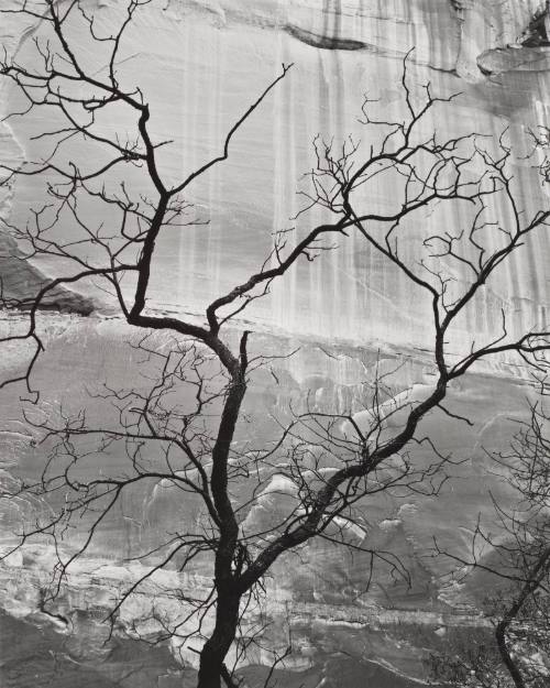 Glen Canyon