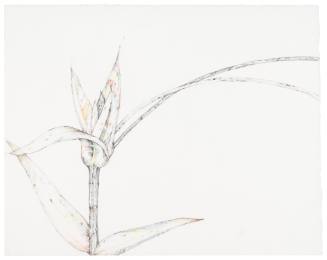 Vertical Flower, Diagonal Stem