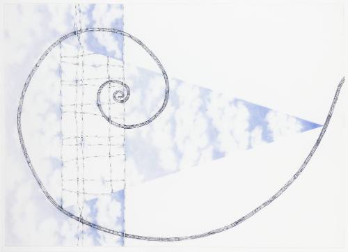 Spira Mirabilis #2