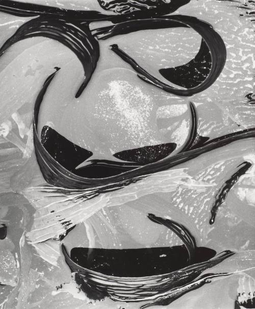 Kelp in Shallow Pond