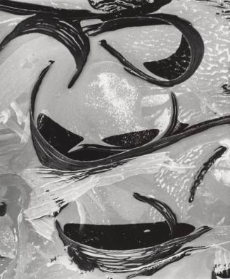 Kelp in Shallow Pond