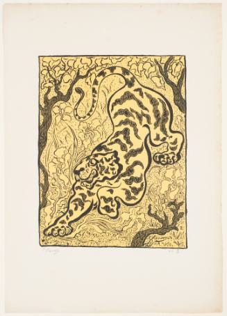 Tiger in the Jungle