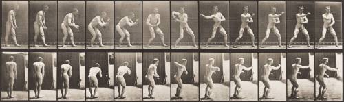 Baseball, Catching and Throwing