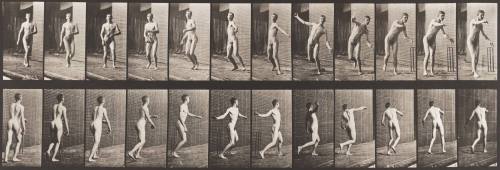 Cricket, Round-Arm Bowling