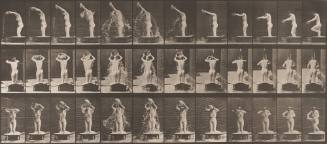 Pouring a Basin of Water over Head