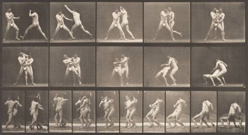 Boxing, Stop for Cross-Buttocks