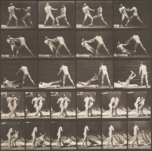 Boxing, One Man Knocking the Other One Down