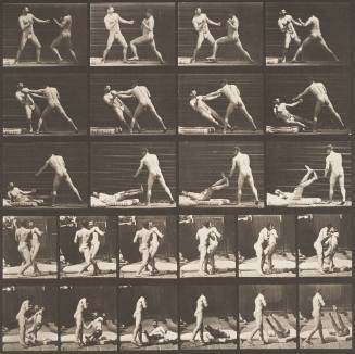 Boxing, One Man Knocking the Other One Down