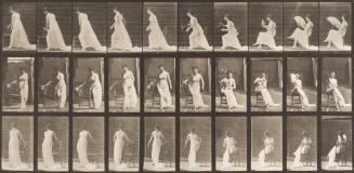 Placing Chair, Sitting and Flirting a Fan