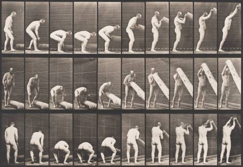 Lifting a Log on End