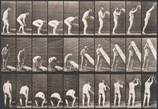 Lifting a Log on End