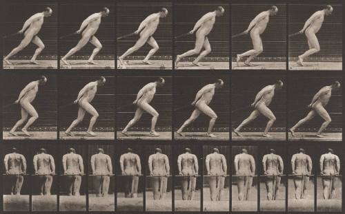 Dragging a Garden Roller