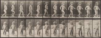 Child Walking