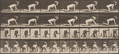 Child Crawling on Hands and Knees