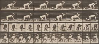 Child Crawling on Hands and Knees