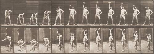 Lifting a 50-lb Dumbbell