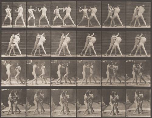 Boxing, Cross-Counter