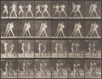 Boxing, Cross-Counter