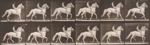 "Clinton" Ambling, Bareback; Rider Nude