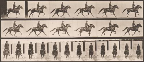 "Pronto" Pacing, Saddled