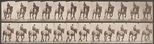 "Dusel" Trotting, Bareback