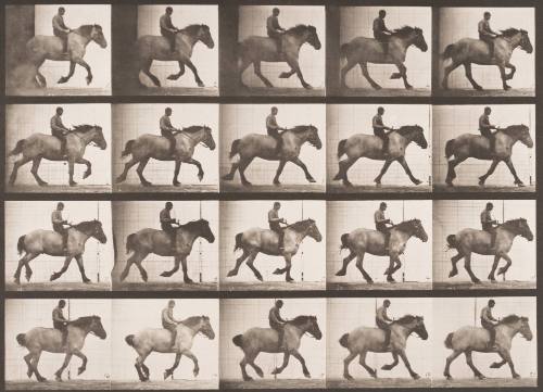 "Hansel" Cantering, Bareback