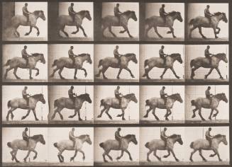 "Hansel" Cantering, Bareback