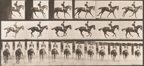 "Annie G." Cantering, Saddled