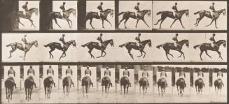 "Annie G." Cantering, Saddled