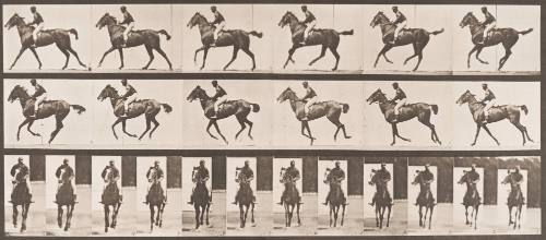 "Annie G." Cantering, Saddled