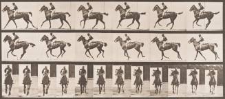 "Annie G." Cantering, Saddled