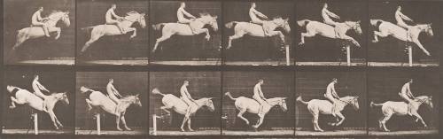 "Pandora" Jumping a Hurdle, Bareback, Clearing and Landing