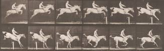 "Pandora" Jumping a Hurdle, Bareback, Clearing and Landing