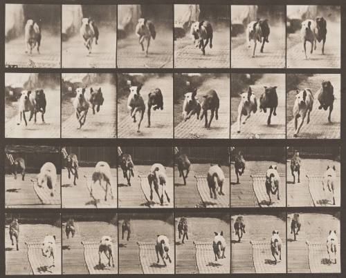 "Ike" and "Maggie" Racing