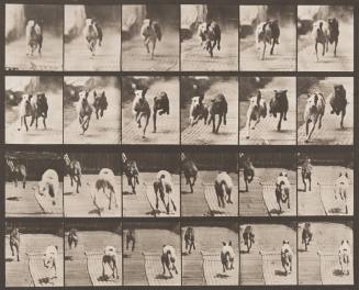 "Ike" and "Maggie" Racing