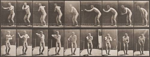 Baseball, Catching and Throwing