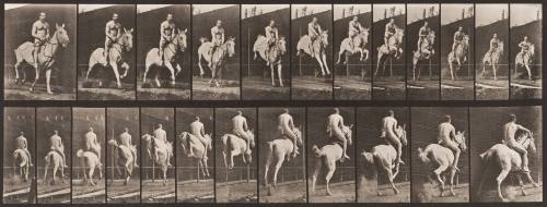 "Pandora" Jumping a Hurdle, Saddled; Rider Nude