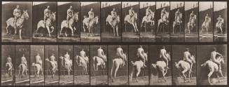 "Pandora" Jumping a Hurdle, Saddled; Rider Nude