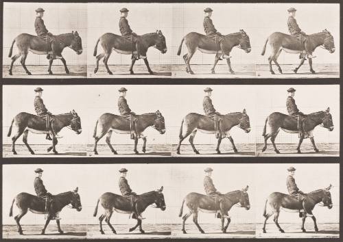 "Jennie" Walking, Bareback; A Boy Riding