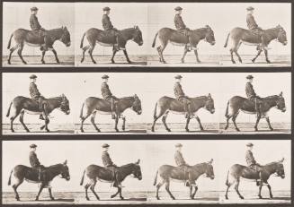 "Jennie" Walking, Bareback; A Boy Riding