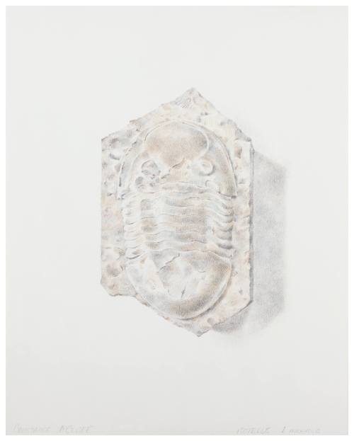 Constance M. McClure