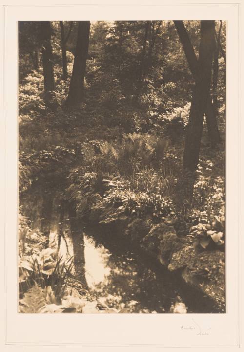 Rudolph Wurlitzer Garden No. 2