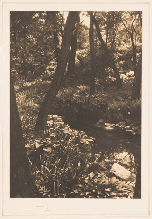 Rudolph Wurlitzer Garden No. 3