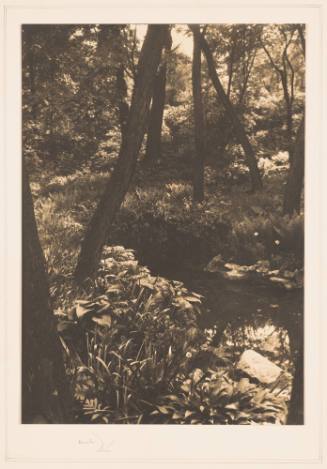 Rudolph Wurlitzer Garden No. 3