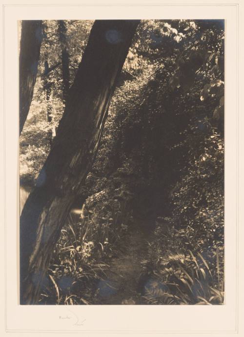 Rudolph Wurlitzer Garden No. 4