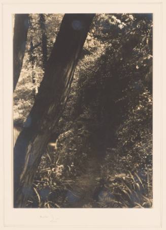 Rudolph Wurlitzer Garden No. 4