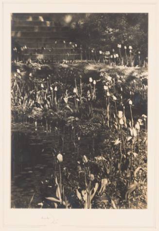 Rudolph Wurlitzer Garden No. 5
