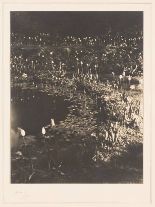 Rudolph Wurlitzer Garden No. 6
